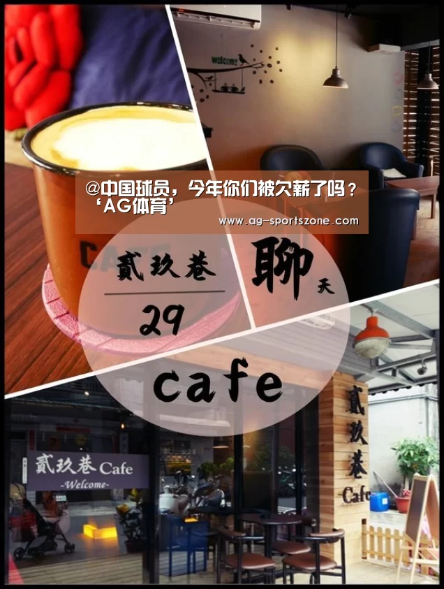 @中国球员,今年你们被欠薪了吗?‘AG体育’(图3) AG足球